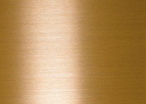 宠物骨折急救技巧，移动时如何避免二次伤害